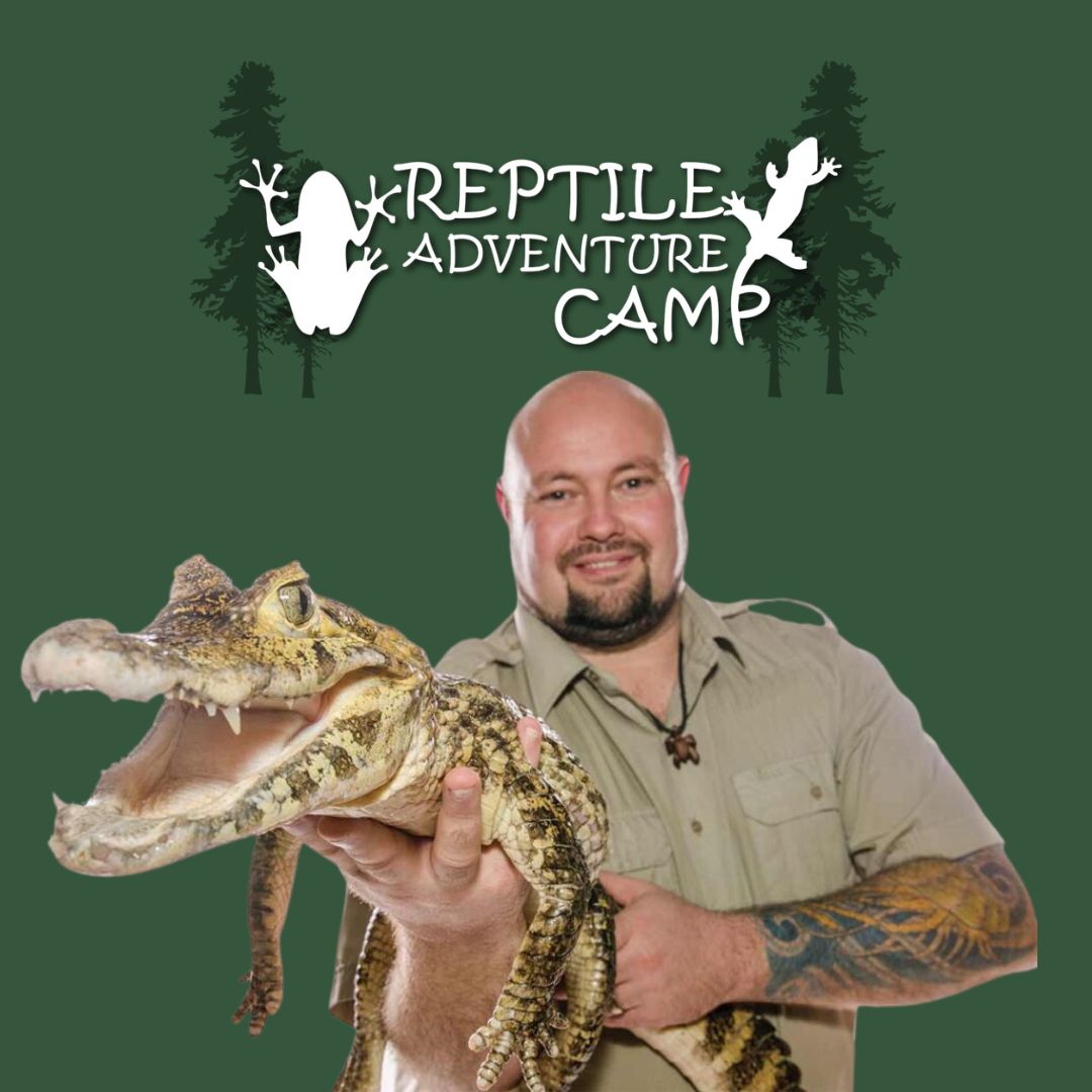 Reptile Camp